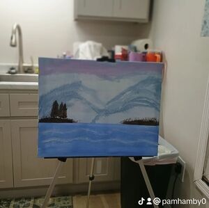 Welcome to Pam's landscapes& more all canvases start at $20 and up